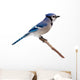 Blue Jay Wall Decal