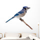 Blue Jay Wall Decal