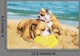 English Bulldogs Playing Beach Wall Decal