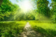 Forest Road Wall Decal