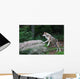 Wolf Wall Decal