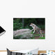 Wolf Wall Decal