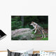 Wolf Wall Decal