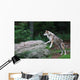 Wolf Wall Decal