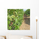 Grape Champagne Wall Decal