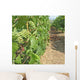 Grape Champagne Wall Decal