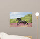 Animals Horses Wall Decal