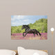 Animals Horses Wall Decal