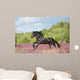 Animals Horses Wall Decal