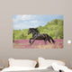 Animals Horses Wall Decal