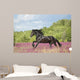 Animals Horses Wall Decal