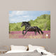 Animals Horses Wall Decal
