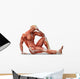 Anatomy Muscles Wall Decal