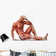 Anatomy Muscles Wall Decal