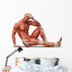 Anatomy Muscles Wall Decal