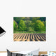 Farming Field Tracks Wall Decal