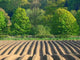 Farming Field Tracks Wall Decal