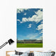 Ball Park Wall Decal