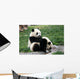 Panda Wall Decal