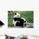 Panda Wall Decal