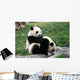 Panda Wall Decal