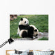 Panda Wall Decal