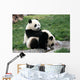 Panda Wall Decal
