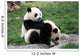 Panda Wall Decal