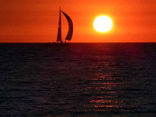 Sunset Sail Wall Decal