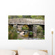 Clapper Bridge at Postbridge Wall Decal