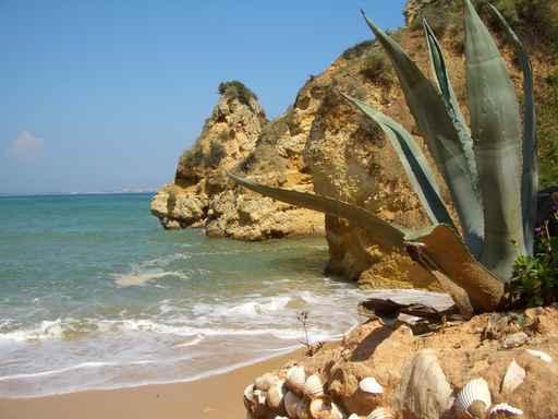 Algarve Wall Decal Design 1 