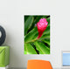 Beautiful Tropical Red Ginger Wall Decal