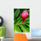 Beautiful Tropical Red Ginger Wall Decal