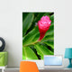 Beautiful Tropical Red Ginger Wall Decal