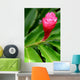 Beautiful Tropical Red Ginger Wall Decal