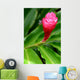 Beautiful Tropical Red Ginger Wall Decal