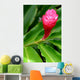 Beautiful Tropical Red Ginger Wall Decal