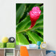 Beautiful Tropical Red Ginger Wall Decal