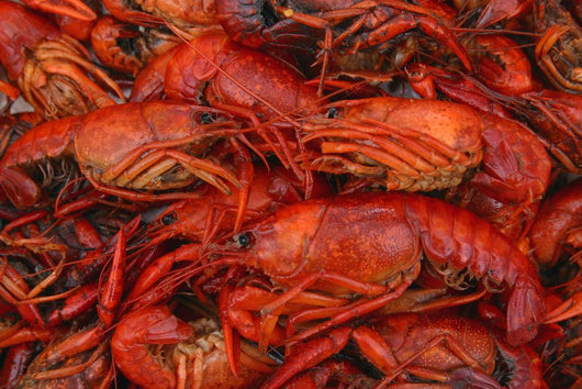Boiled Crawfish Closeup Pot Wall Decal