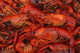 Boiled Crawfish Closeup Pot Wall Decal