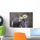 Cockatiels Wall Decal
