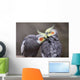 Cockatiels Wall Decal