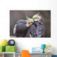 Cockatiels Wall Decal