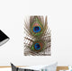 Detail Peacock Feather Eye Wall Decal