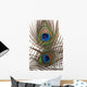 Detail Peacock Feather Eye Wall Decal