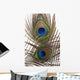 Detail Peacock Feather Eye Wall Decal
