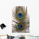 Detail Peacock Feather Eye Wall Decal