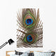 Detail Peacock Feather Eye Wall Decal