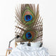 Detail Peacock Feather Eye Wall Decal