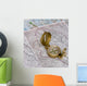 Compass Maps Wall Decal